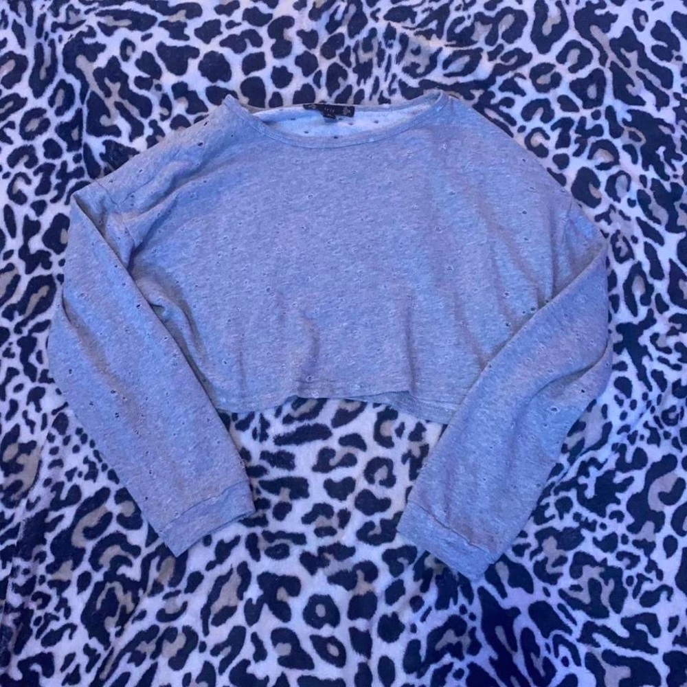 Iris cropped distressed sweater